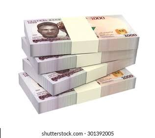 Six businesses that can earn you up to N30,000&nbsp;daily